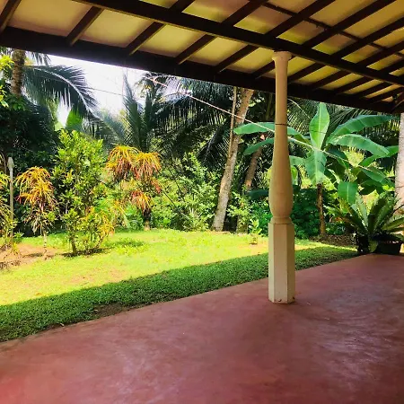 Jungle View Guesthouse Unawatuna Exterior photo
