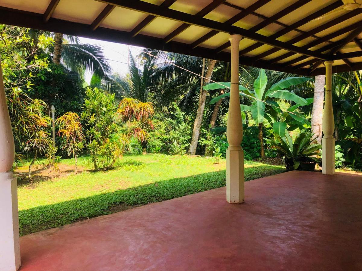 Apartment Jungle View