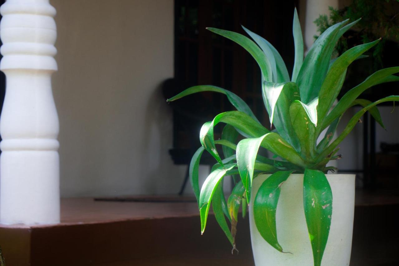 Jungle View Apartment